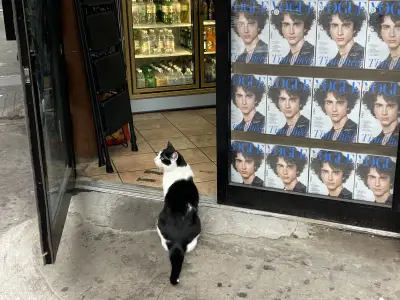 Early Addition: Bodega bucks for good grades