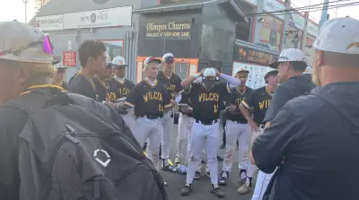 Wilcox’s bid for CCS Division II baseball championship denied by Hollister